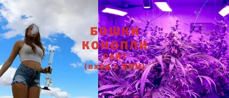 Каннабис OG Kush  хочу наркоту  Тайга 